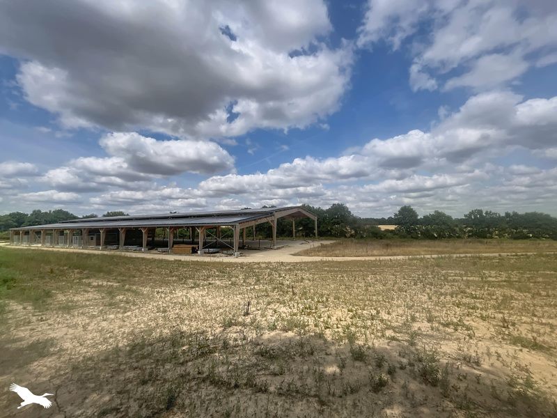 Vente Terrain AUBIGNY LES CLOUZEAUX - -60830 m² - (85430)