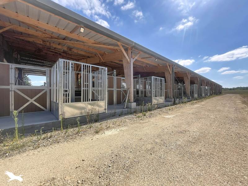 Vente Terrain AUBIGNY LES CLOUZEAUX - -60830 m² - (85430)