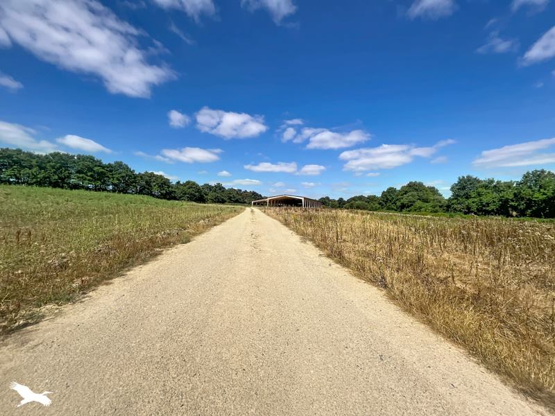 Vente Terrain AUBIGNY LES CLOUZEAUX - -60830 m² - (85430)