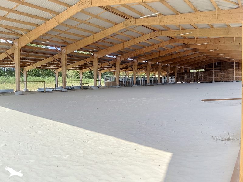 Vente Terrain AUBIGNY LES CLOUZEAUX - -60830 m² - (85430)