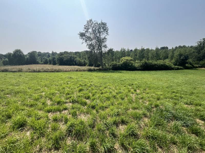 Vente Terrain L HERMENAULT - -1881 m² - (85570)