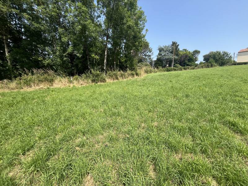 Vente Terrain L HERMENAULT - -1881 m² - (85570)