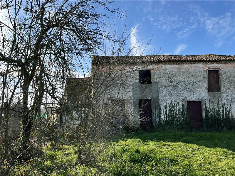 Vente Grange BOURNEAU - 4 pièces -90 m² - (85200)