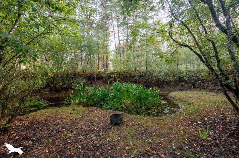 Vente Maison SALBRIS - 5 pièces -153 m² - (41300)