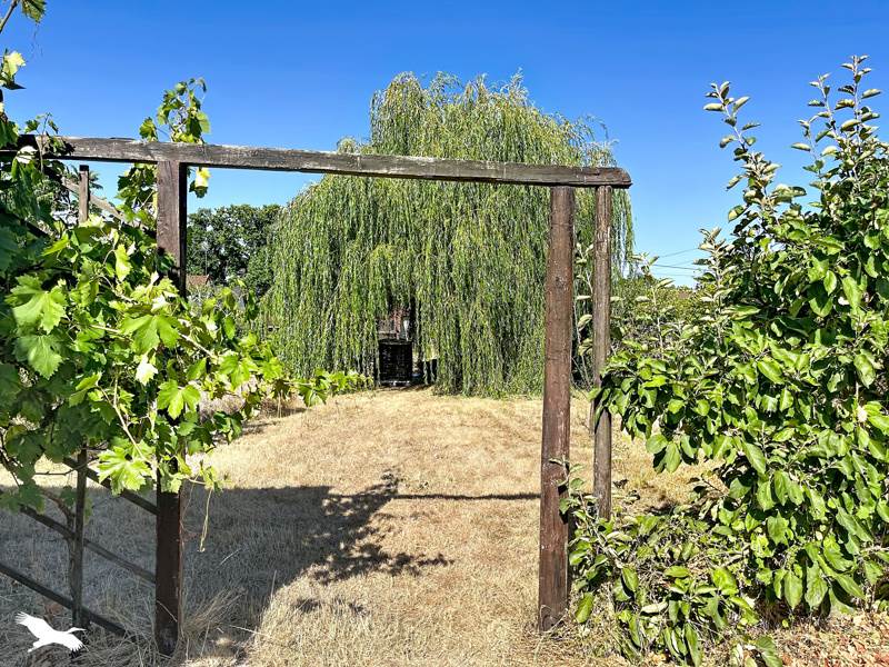 Vente Maison THEILLAY - 3 pièces -53 m² - (41300)