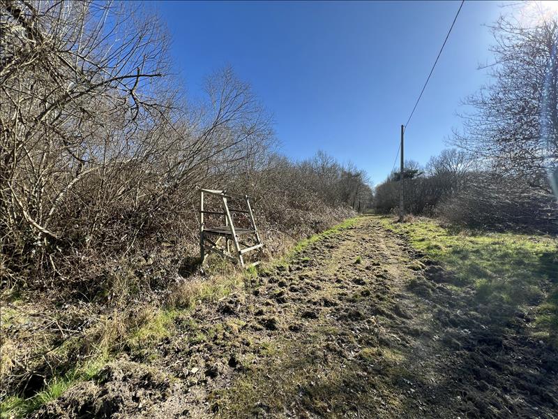 Vente Maison SALBRIS - 3 pièces -84 m² - (41300)