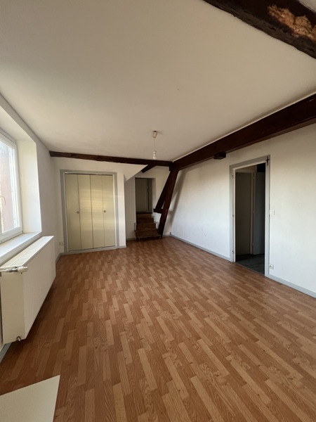 Vente Maison THEILLAY - 11 pièces -260 m² - (41300)