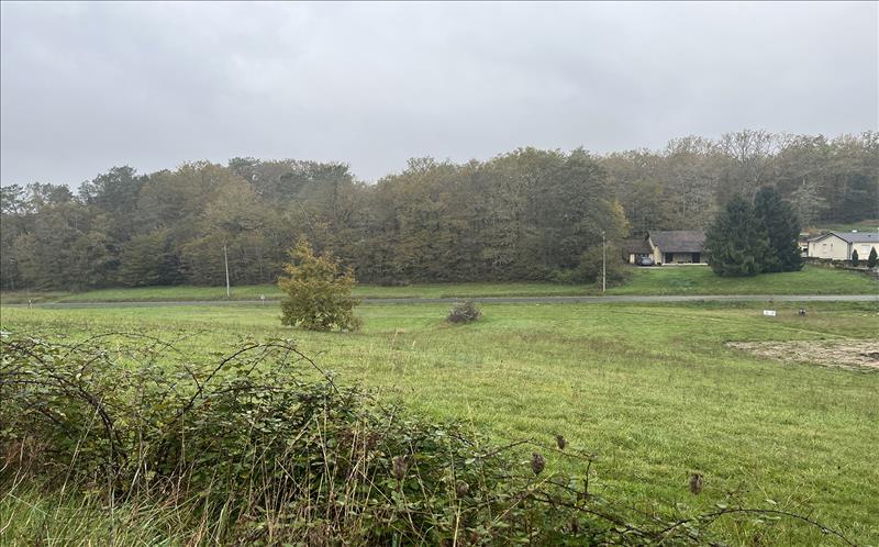 Vente Terrain ST PIERRE DE CHIGNAC - -1613 m² - (24330)