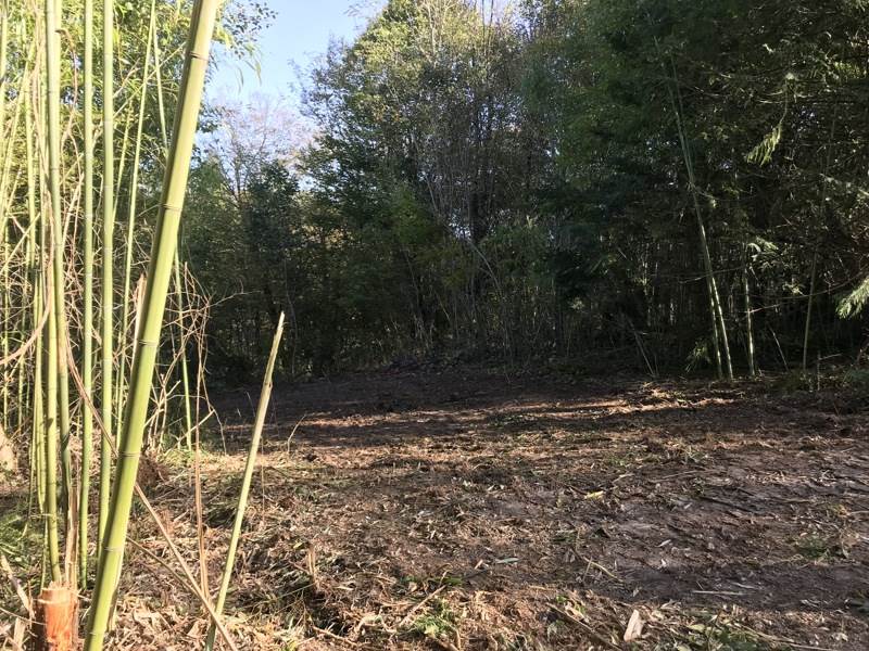 Vente Terrain Boulazac Isle Manoire - -1444 m² - (24750)
