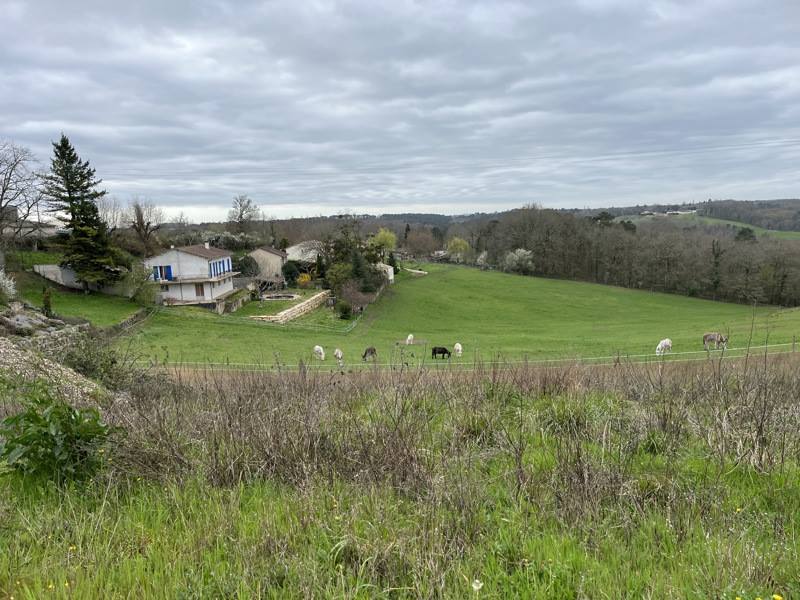 Vente Terrain BOULAZAC - -2048 m² - (24750)