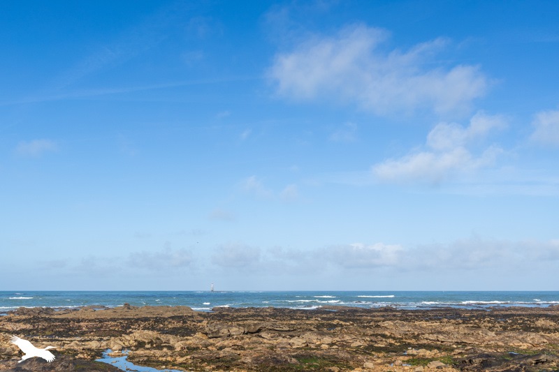 Vente Maison LES SABLES D OLONNE - 4 pièces -95 m² - (85100)