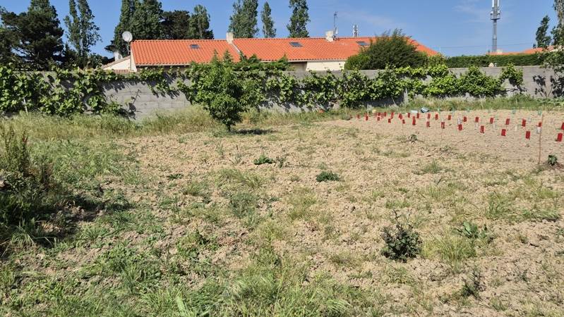 Vente Terrain LES SABLES D OLONNE - -169 m² - (85340)