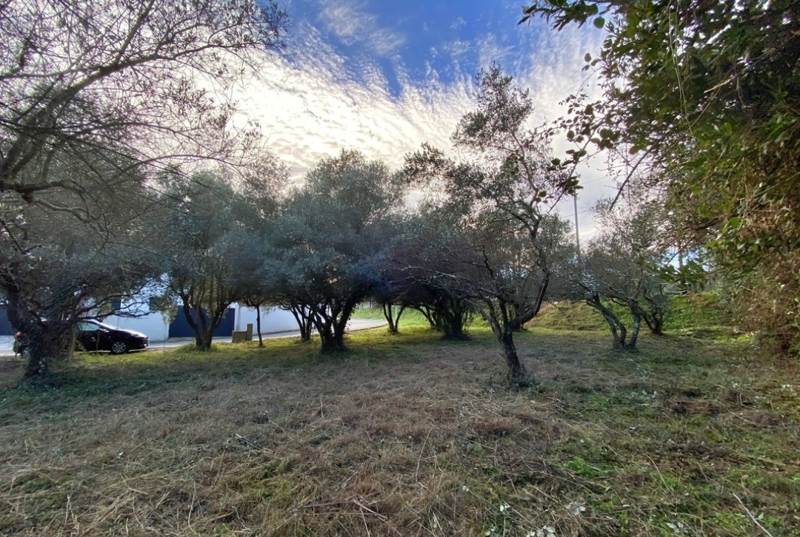 Vente Terrain CASTRIES - -401 m² - (34160)