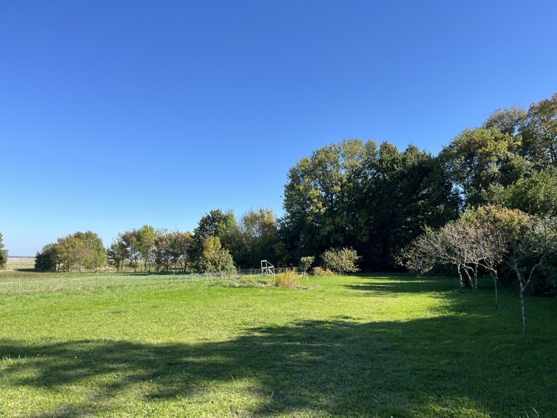 Vente Terrain MEDIS - -1518 m² - (17600)