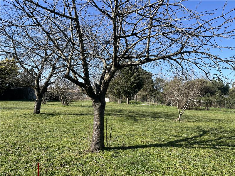Vente Terrain CUGNAUX - -859 m² - (31270)