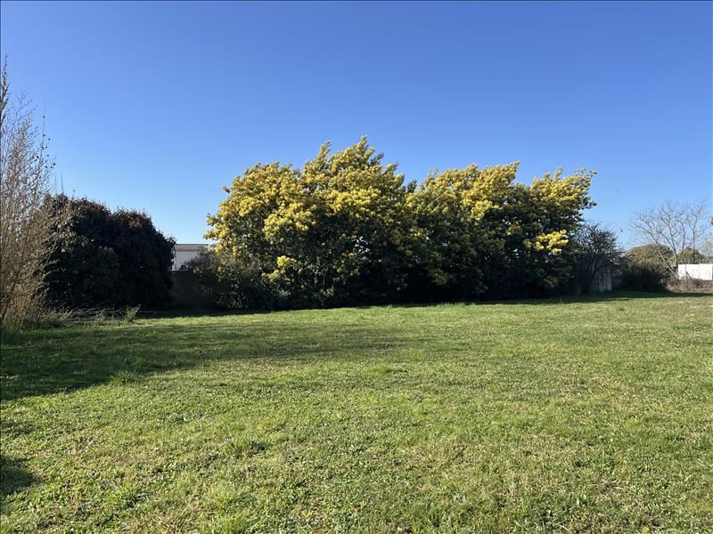 Vente Terrain CUGNAUX - -859 m² - (31270)
