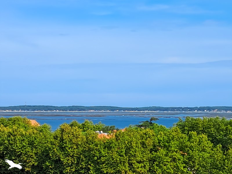 Vente Appartement ARCACHON 33120 2 pièces - 33 m²
