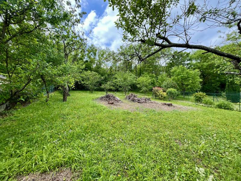 Vente Terrain VAUREAL - -596 m² - (95490)