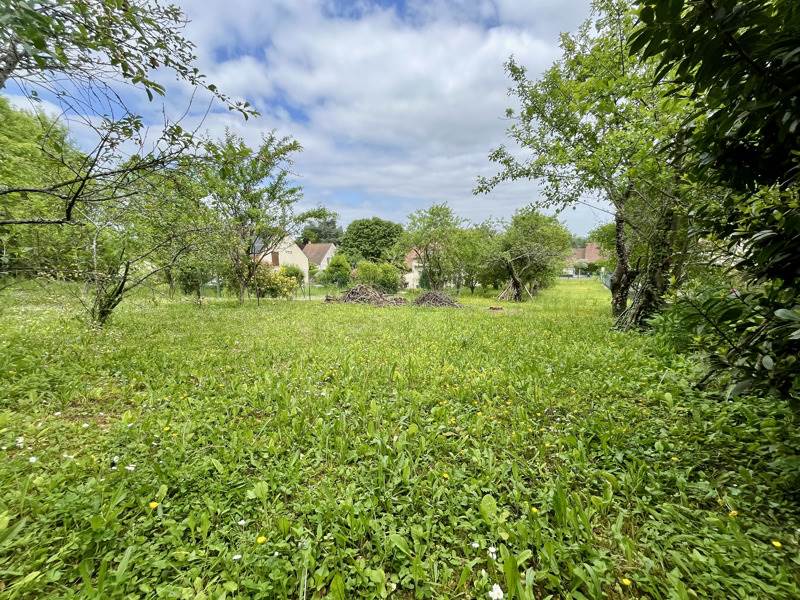 Vente Terrain VAUREAL - -596 m² - (95490)