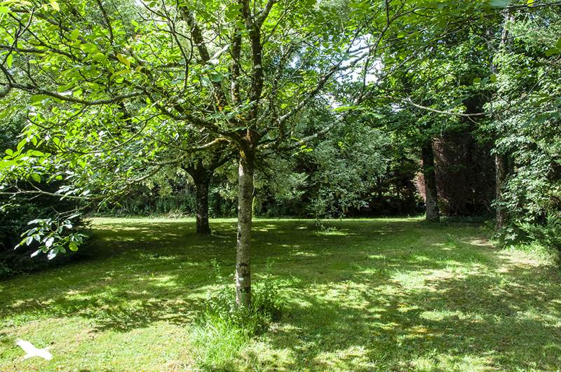Vente Maison LA CHAPELLE FAUCHER - 9 pièces -331 m² - (24530)