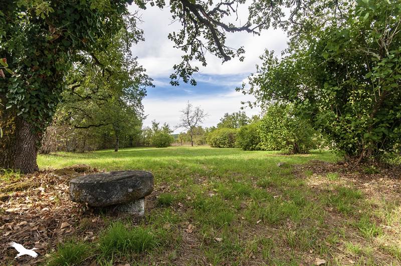 Vente Maison MAREUIL EN PERIGORD - 6 pièces -181 m² - (24340)