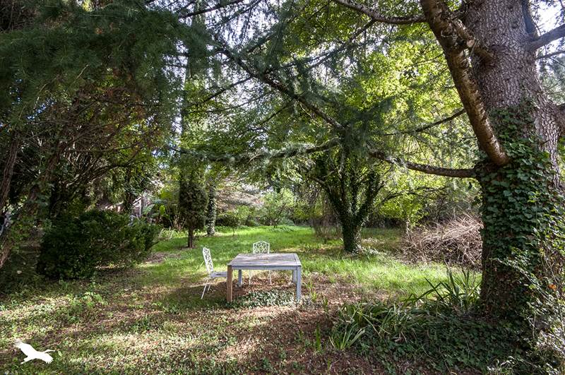 Vente Maison BOURDEILLES - 9 pièces -262 m² - (24310)