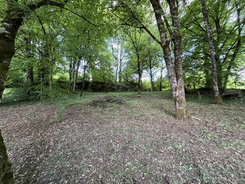 Vente Maison BRANTOME EN PERIGORD - 3 pièces -84 m² - (24310)