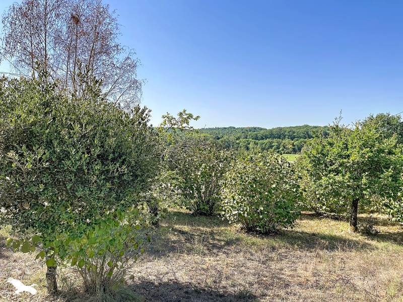 Vente Maison La Chapelle-Faucher - 5 pièces -111 m² - (24530)