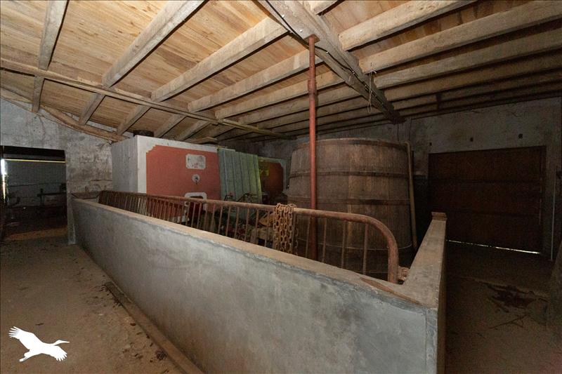Vente Maison LE PIN - 3 pièces -79 m² - (17210)