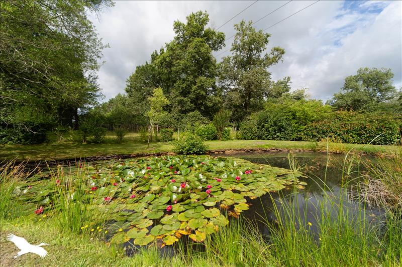 Vente Maison CHEPNIERS - 4 pièces -163 m² - (17210)