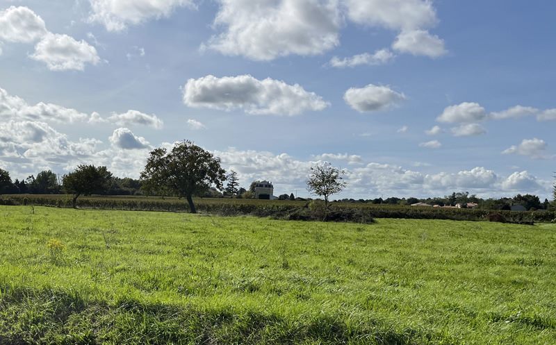 Vente Terrain MARCILLAC - -1219 m² - (33860)