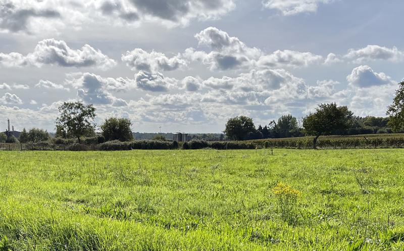Vente Terrain MARCILLAC - -1336 m² - (33860)
