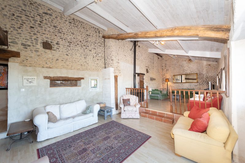 Vente Maison POMMIERS MOULONS - 10 pièces -357 m² - (17130)
