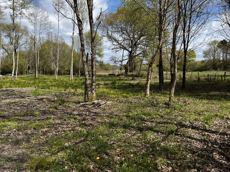 Vente Terrain MONTENDRE - -2920 m² - (17130)