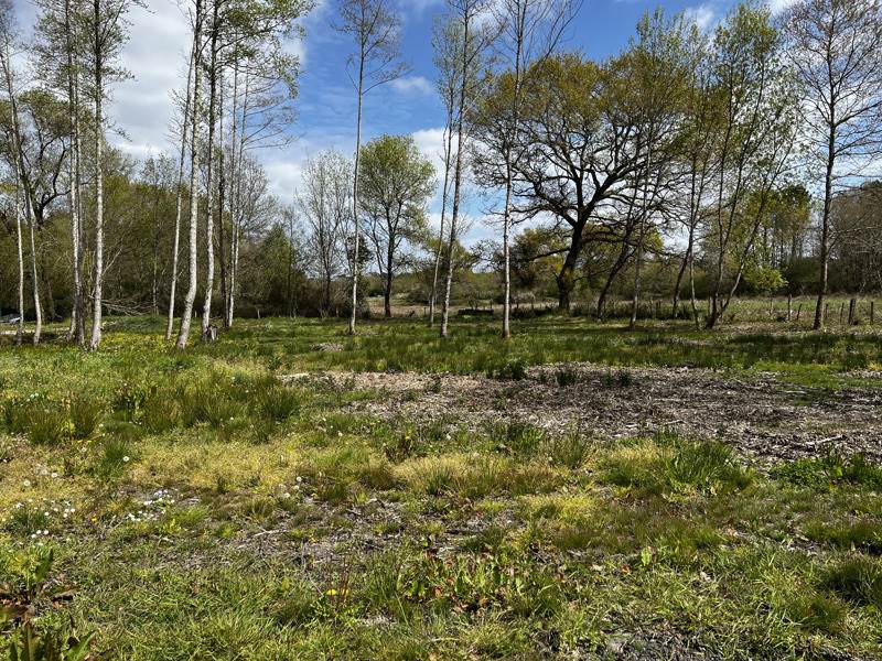 Vente Terrain MONTENDRE - -2920 m² - (17130)