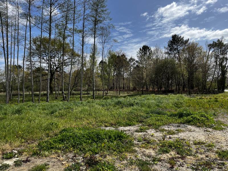 Vente Terrain MONTENDRE - -2920 m² - (17130)