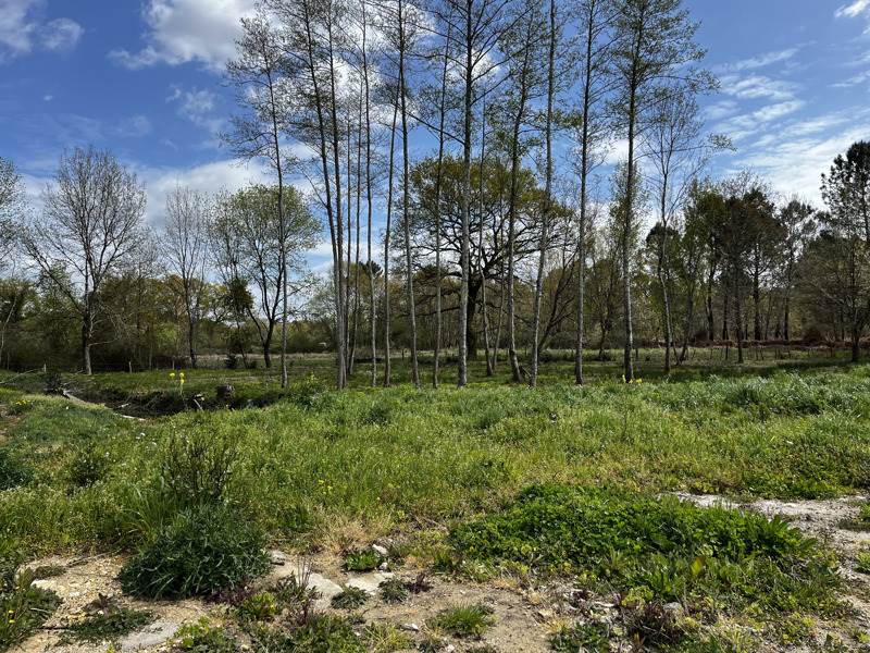 Vente Terrain MONTENDRE - -2920 m² - (17130)