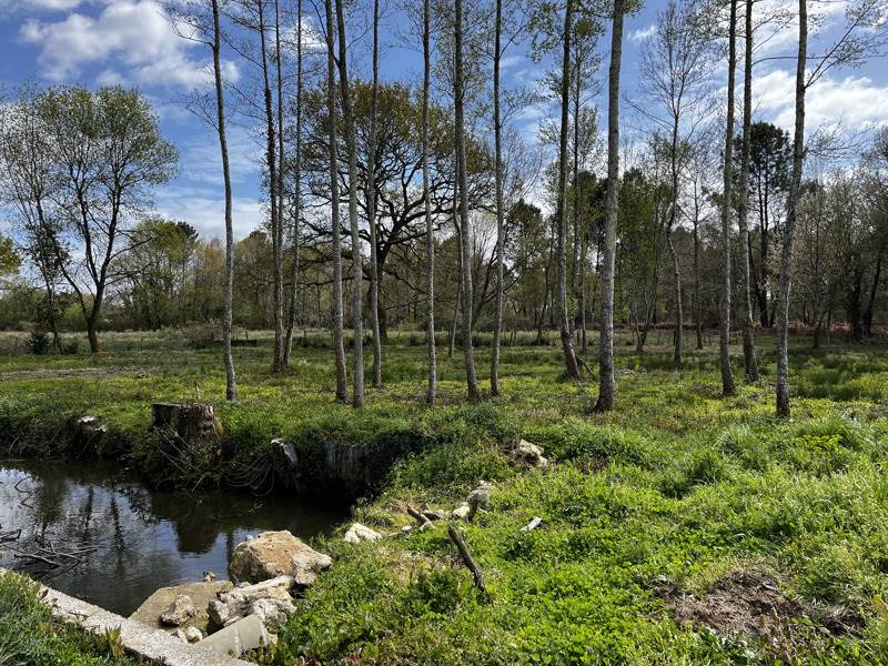 Vente Terrain MONTENDRE - -2920 m² - (17130)