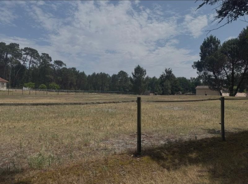 Vente Terrain MONTENDRE - -1610 m² - (17130)