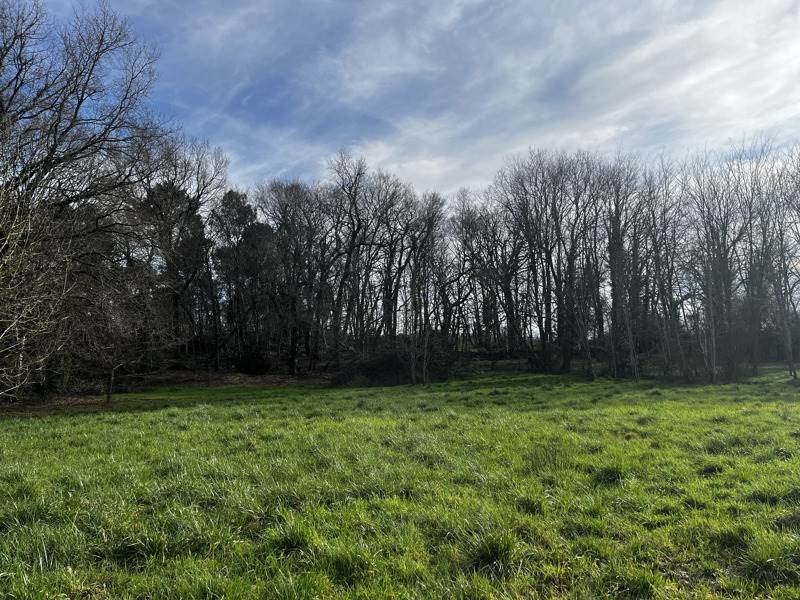 Vente Terrain MONTENDRE - -7284 m² - (17130)