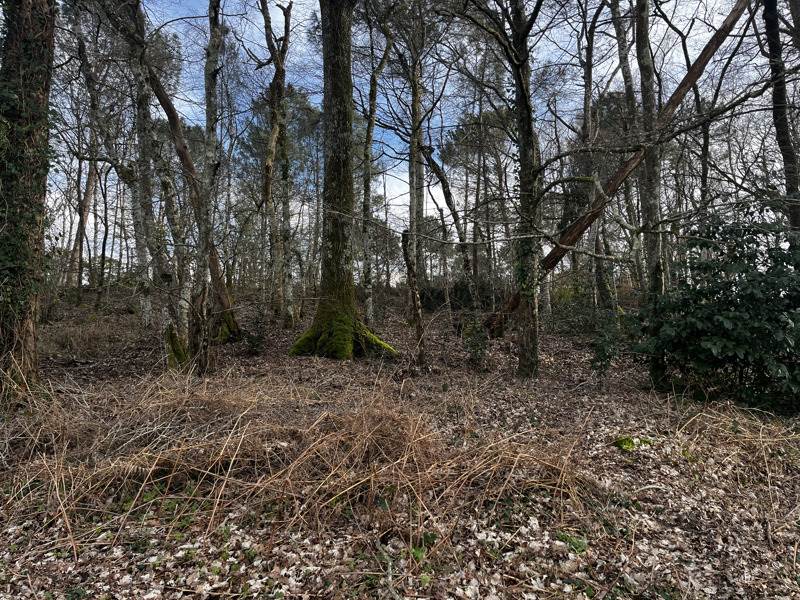 Vente Terrain MONTENDRE - -7284 m² - (17130)