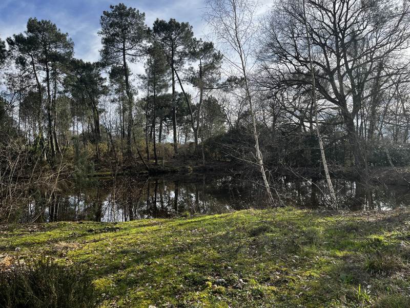 Vente Terrain MONTENDRE - -7284 m² - (17130)