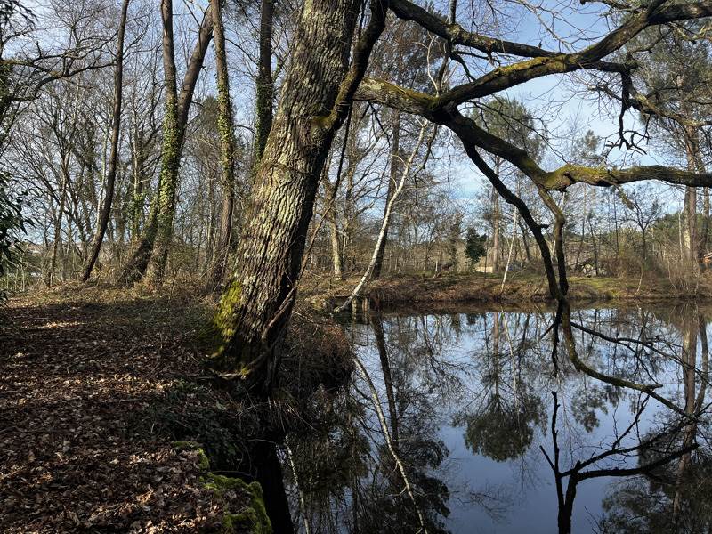 Vente Terrain MONTENDRE - -7284 m² - (17130)