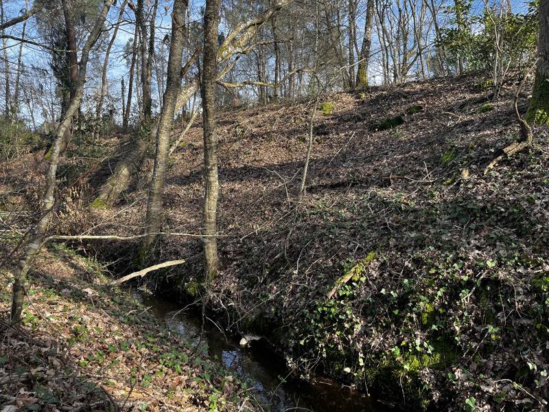 Vente Terrain MONTENDRE - -7284 m² - (17130)