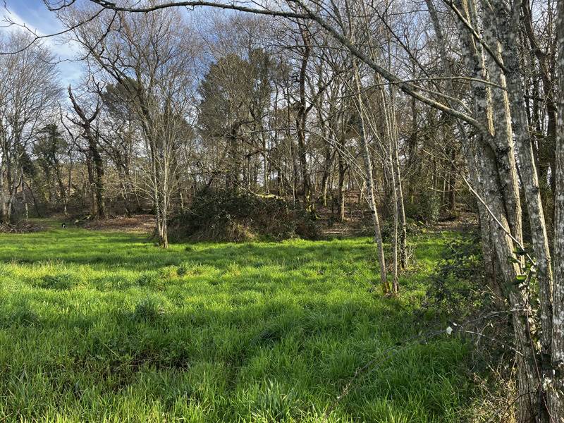 Vente Terrain MONTENDRE - -7284 m² - (17130)