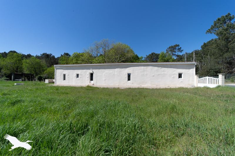 Vente Maison MONTENDRE - 5 pièces -215 m² - (17130)