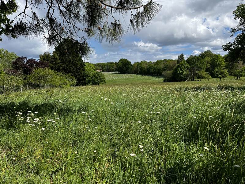 Vente Terrain CHATENET - -1378 m² - (17210)