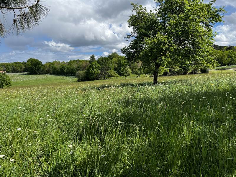 Vente Terrain CHATENET - -1378 m² - (17210)