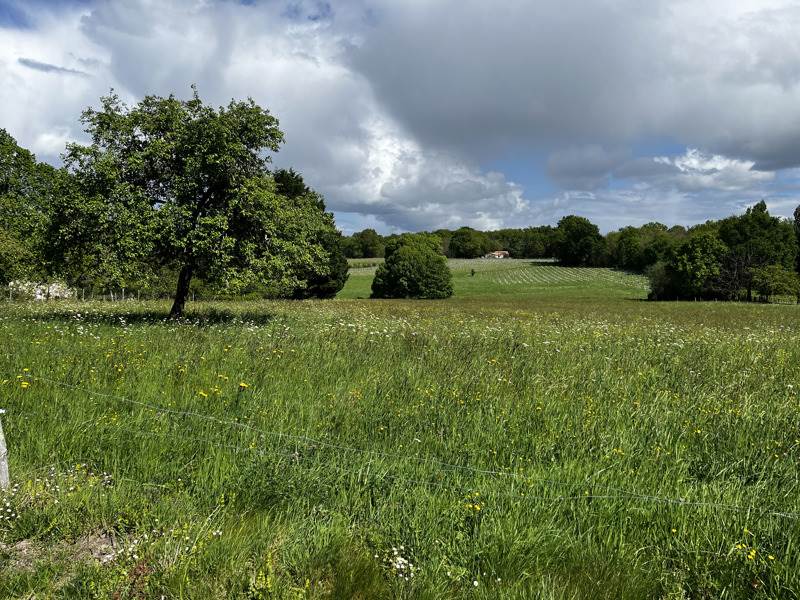 Vente Terrain CHATENET - -1378 m² - (17210)