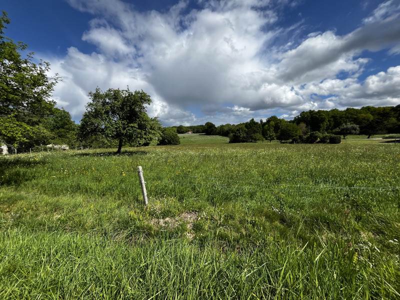 Vente Terrain CHATENET - -1378 m² - (17210)